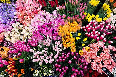 疑似《生化奇兵4》截图泄露 神秘建筑出现