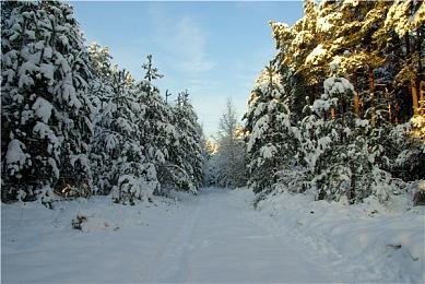 Roguelite克苏鲁修仙《旧日女修》现已发售,售价38元,首发9折！